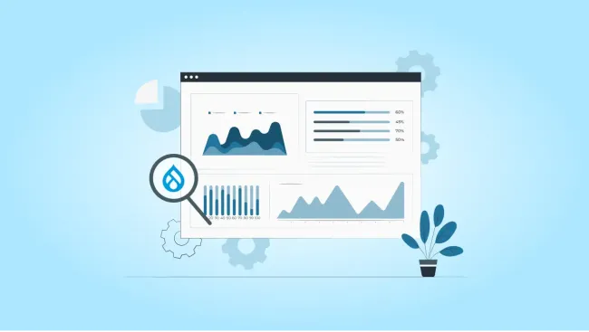 Drupal Performance Audit